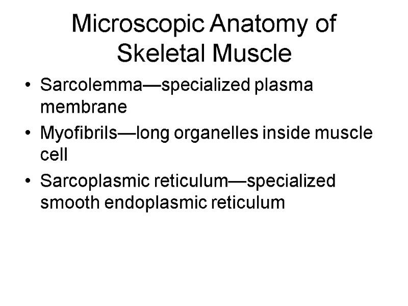 Microscopic Anatomy of Skeletal Muscle Sarcolemma—specialized plasma membrane Myofibrils—long organelles inside muscle cell Sarcoplasmic